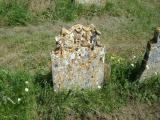 image of grave number 335191